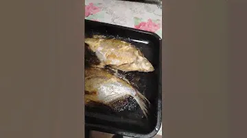 Вкуснатища #fishing #рыбалка #блюдо #рыба #готовка #запекание