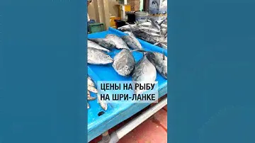 Рыба и морепродукты на Шри Ланке